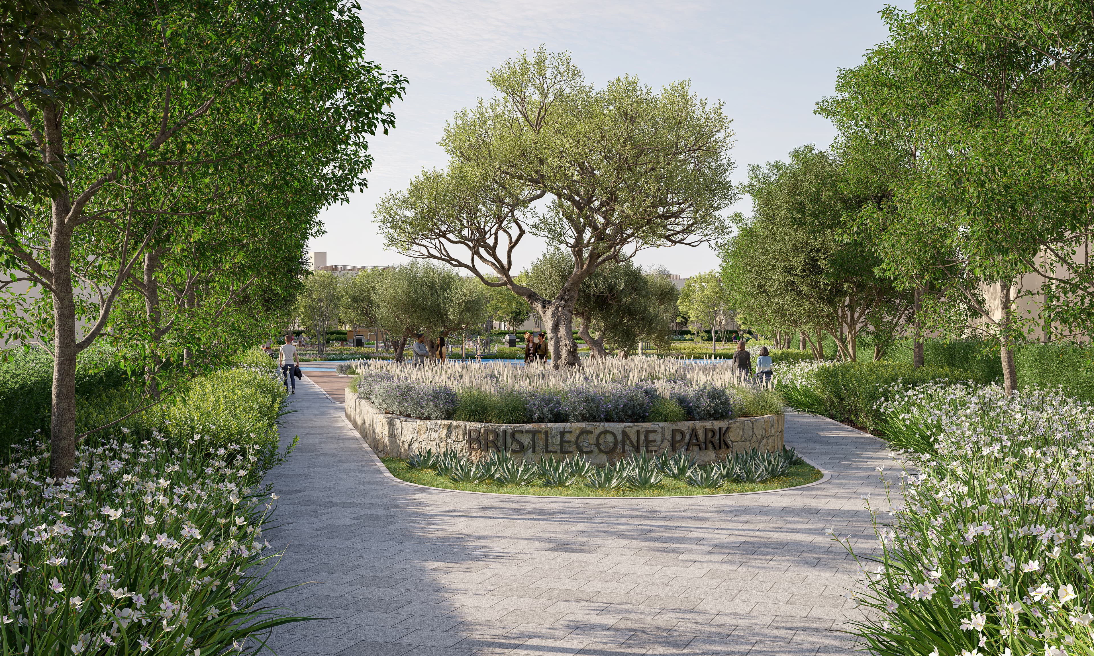 Bristlecone Park at Sobha Elwood